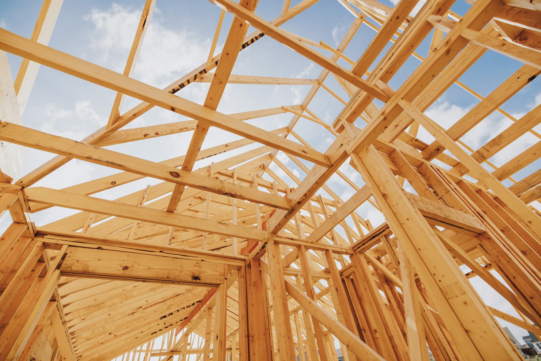 Exposed timber framing of a home under construction